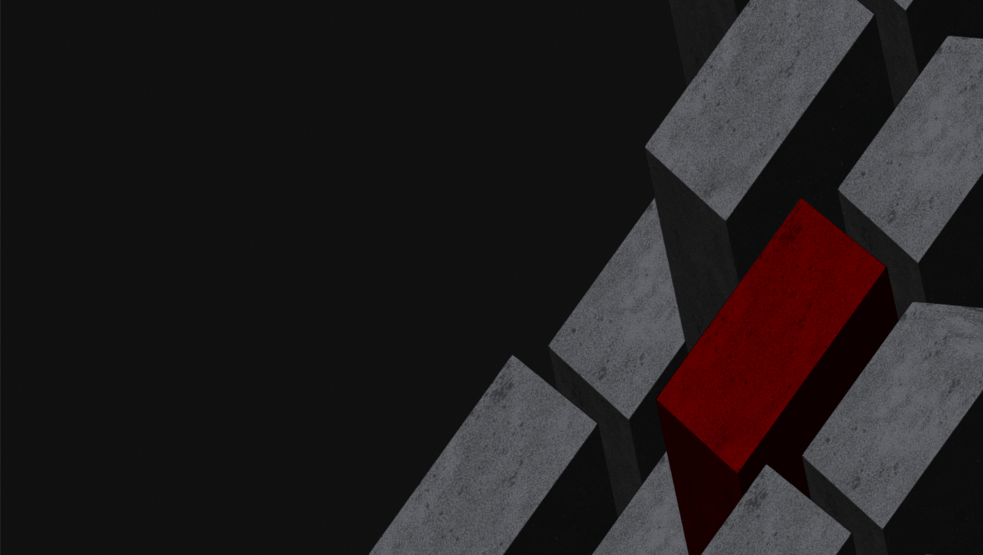 banner image 1